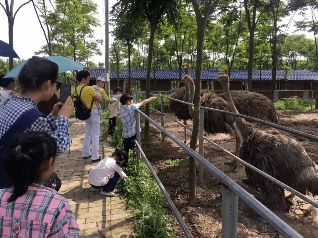 【喜迎“六运会” 有你更精彩】监利市乡村旅游精品线路（监南片）(图2)